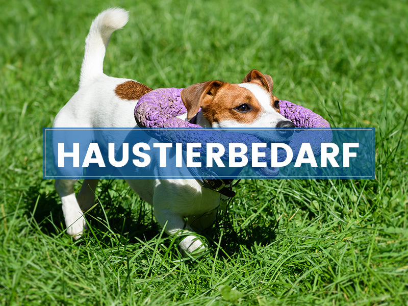 Haustier Bedarf
