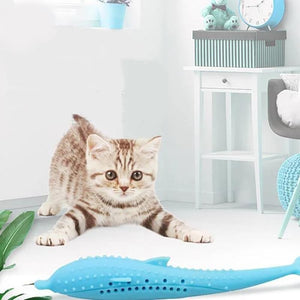 Interaktives Zahnspielzeug Für Katze