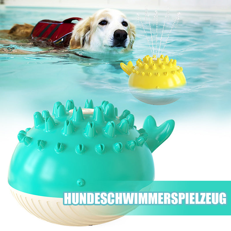 Hund Schwimmspielzeug