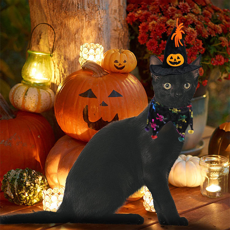 Halloween Hut Lätzchen für Haustiere