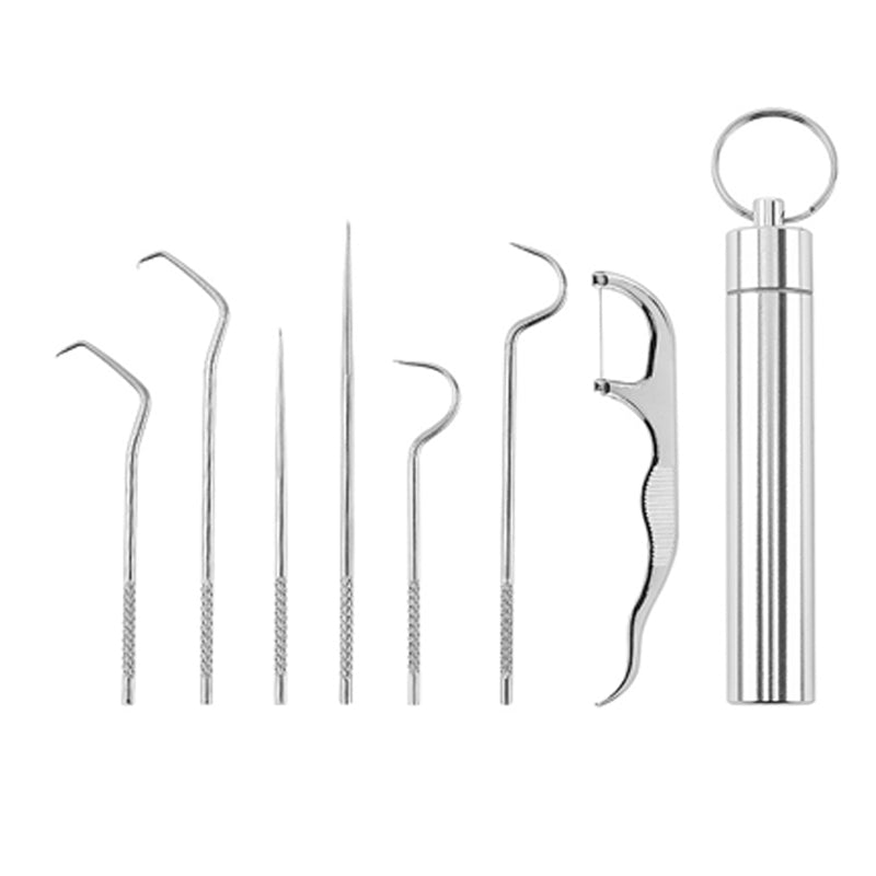 Zahnstocher Set aus Edelstahl (7 Stück)