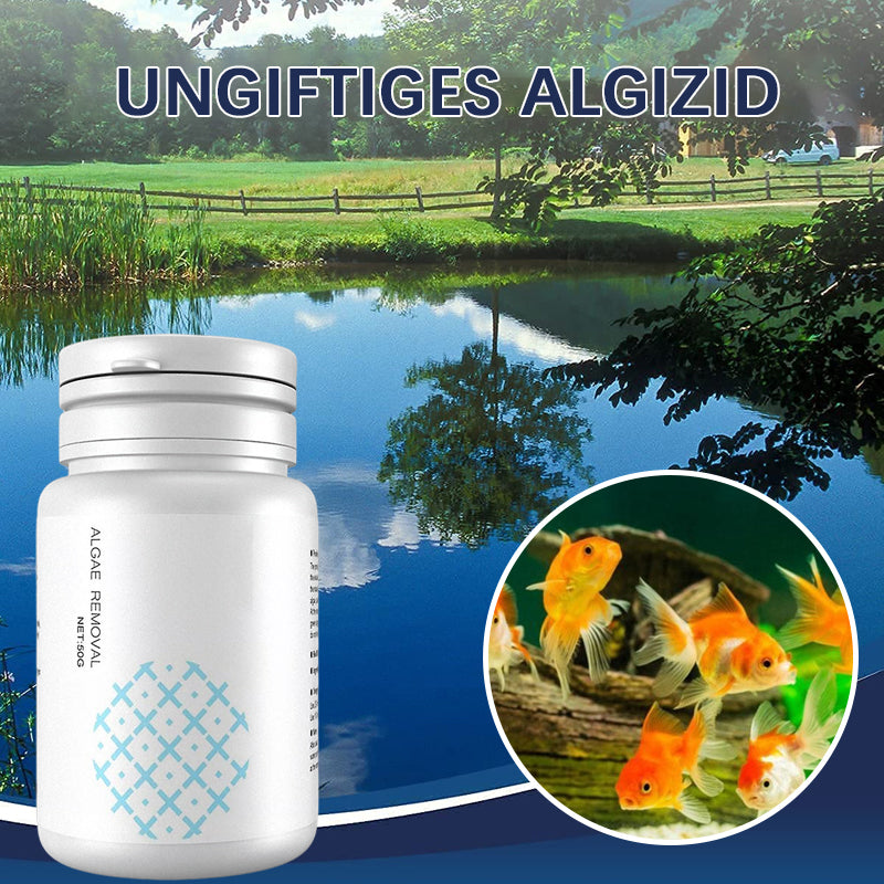 Ungiftiges Algizid Für Aquarien