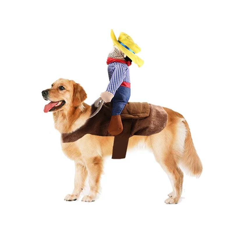 Haustier Reiten Kostüm
