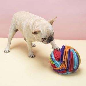 Haustierspielzeug - Filzball
