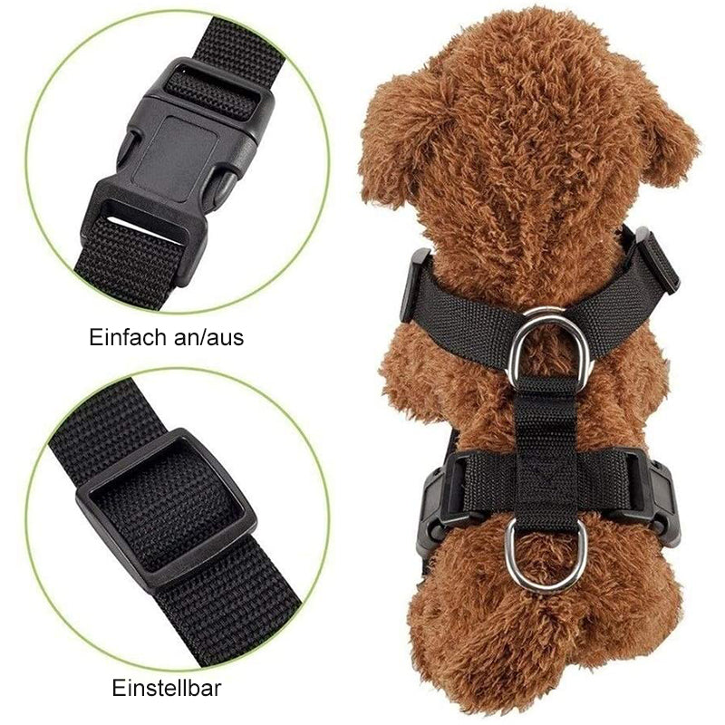 Sicherheitsgurt für Hunde