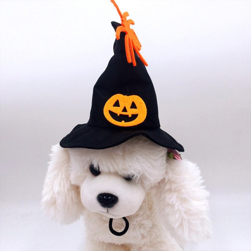 Halloween Hut Lätzchen für Haustiere