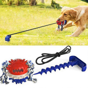 Outdoor Haustier Seilball