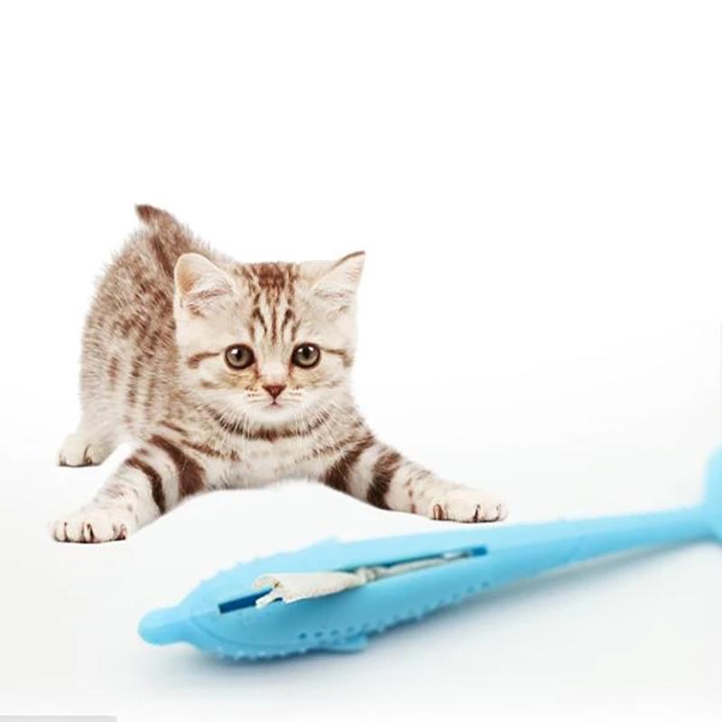 Interaktives Zahnspielzeug Für Katze