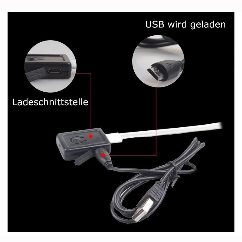 LED leuchtendes Hundehalsband mit Leopardenmuster