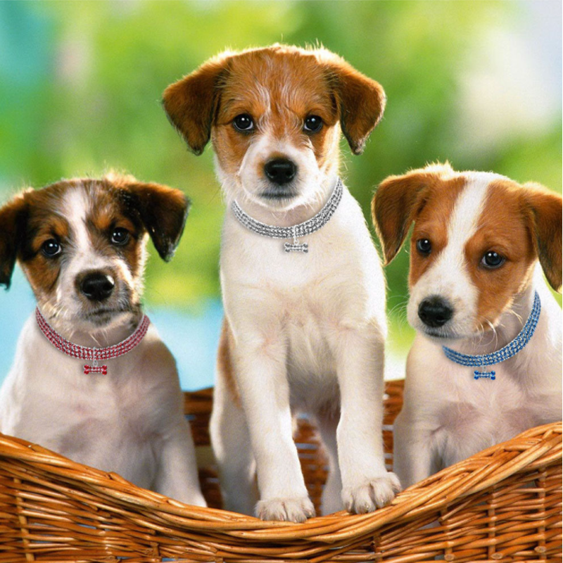 Süße Kristall Hundehalskette