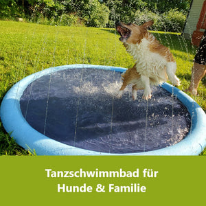 Tanzschwimmbad für Hunde & Familie
