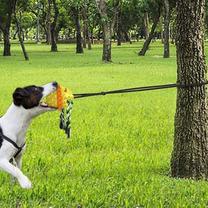 Outdoor Haustier Seilball