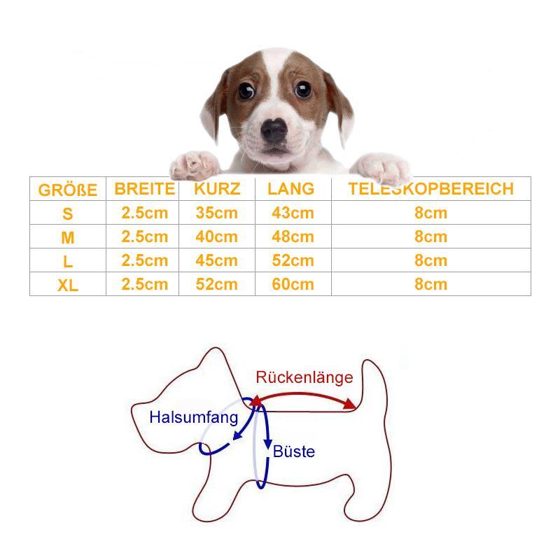 LED leuchtendes Hundehalsband mit Leopardenmuster