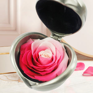 Handgemachte Ewige Rosen in der Metallbox