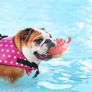 Hund Schwimmspielzeug