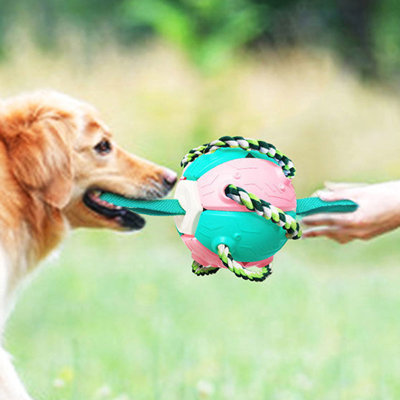 Bissfestes Hundespielzeug Frisbeefußball