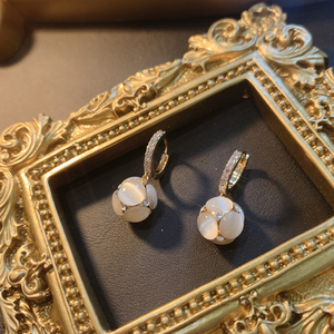 Exquisite Diamant Ohrringe