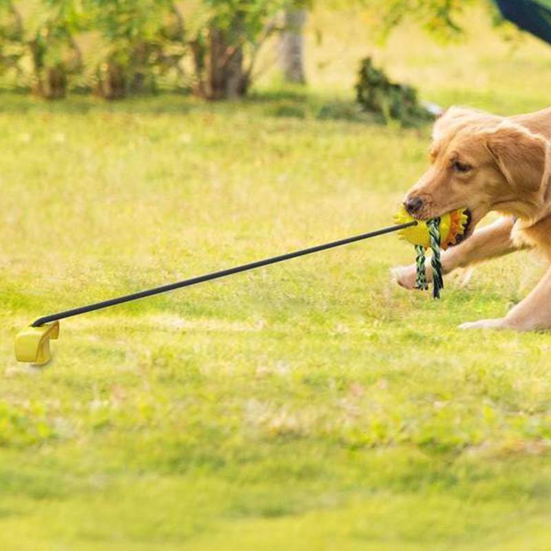 Outdoor Haustier Seilball