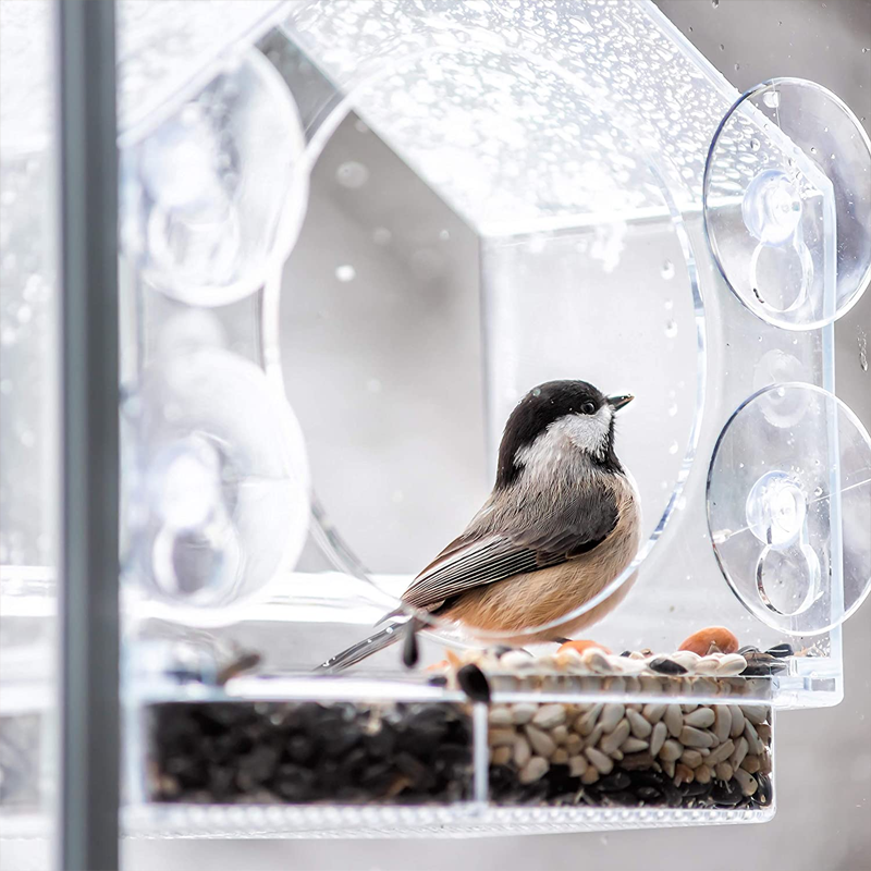 Fenster Vogelhaus Futterspender