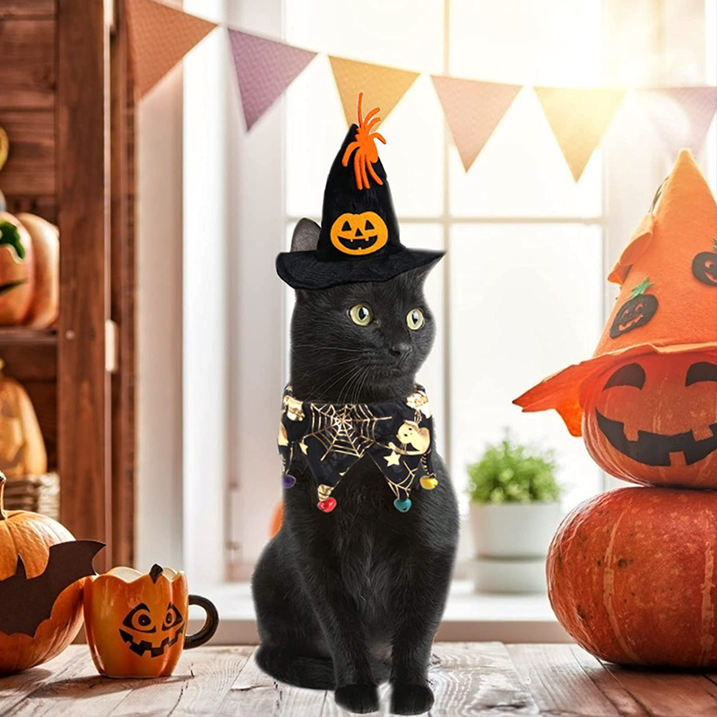 Halloween Hut Lätzchen für Haustiere