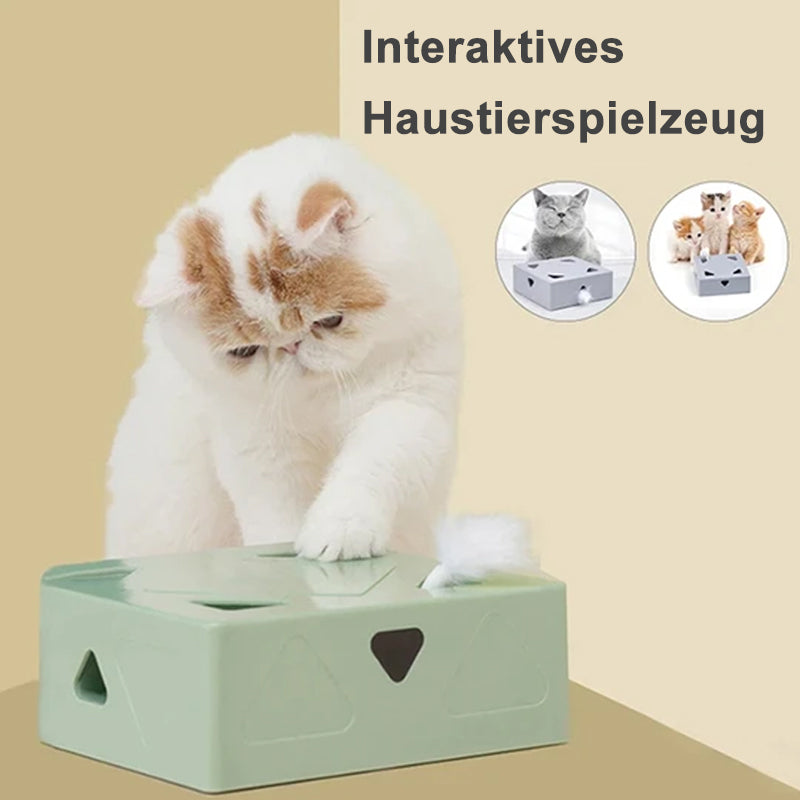 Automatische Spielzeugkiste Für Katzen