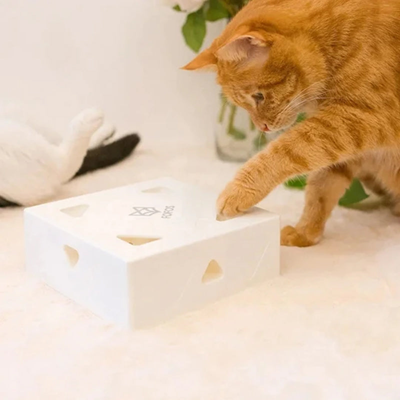 Automatische Spielzeugkiste Für Katzen